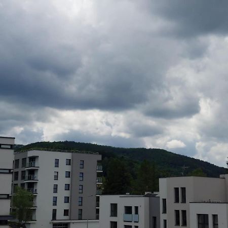 Apartament Pod Szyndzielnia, Debowiec Bielsko-Biała Eksteriør billede