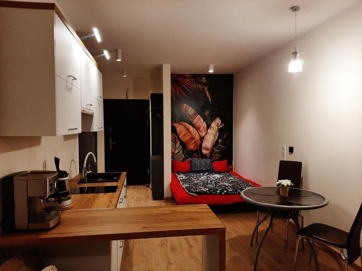 Apartament Pod Szyndzielnia, Debowiec Bielsko-Biała Eksteriør billede