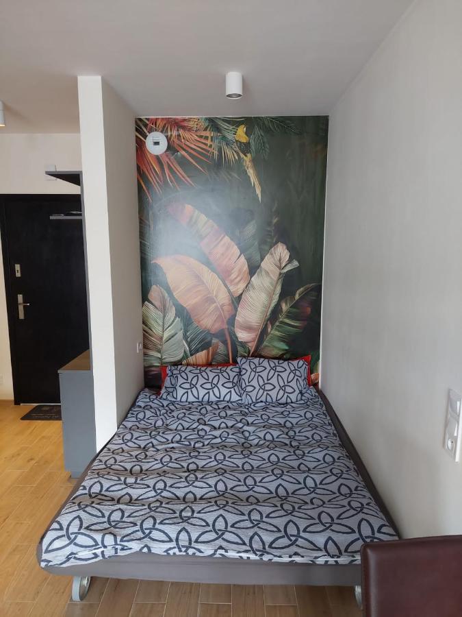 Apartament Pod Szyndzielnia, Debowiec Bielsko-Biała Eksteriør billede